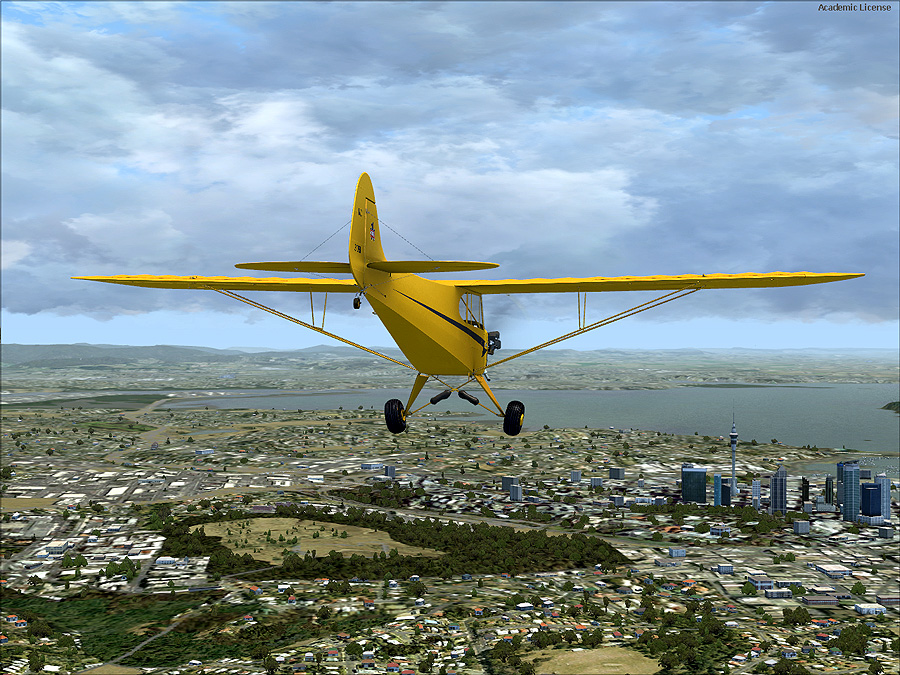 p3d293.jpg