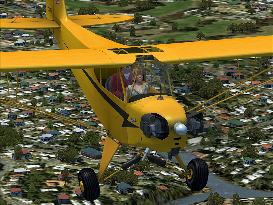 p3d295.jpg